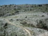 2ap12_castedd-129