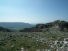 2ap12_castedd-69